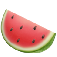 Melon