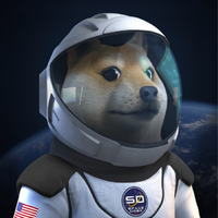 SpaceXDoge