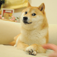 The Doge NFT